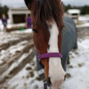 Meet your Posher, Minna